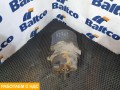 Энергоаккумулятор